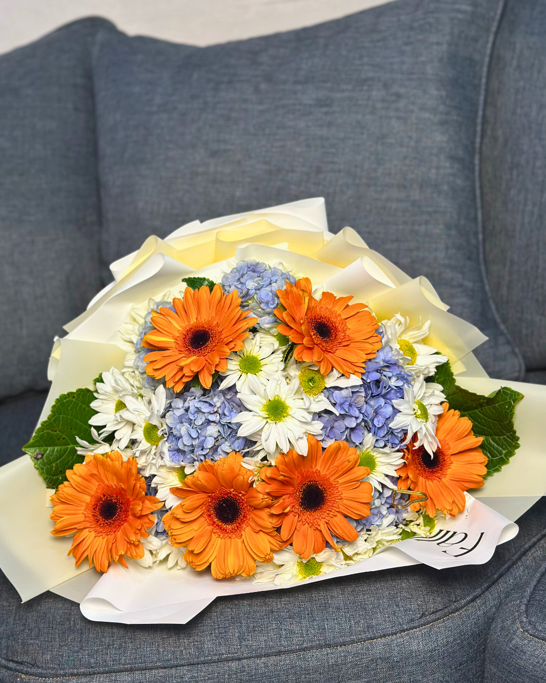 Paleta de Naturaleza