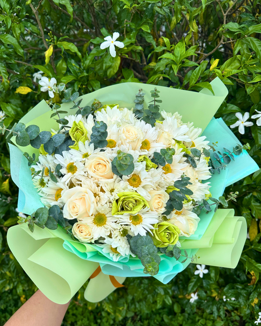 Destellos Celestiales